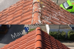 Ihr Fachpartner für Dächer, Holz und Fassaden in Kirchweiler